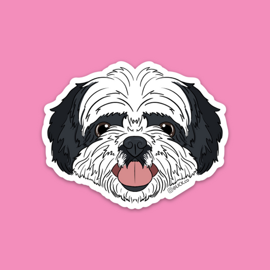 SHIH TZU - LICKco