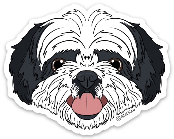 SHIH TZU - LICKco