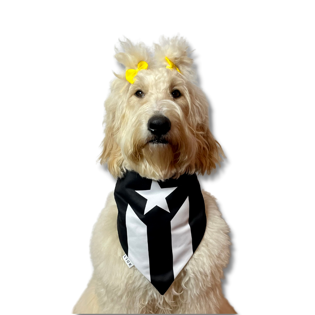 PUERTO RICO : RESISTENCIA - LICKco