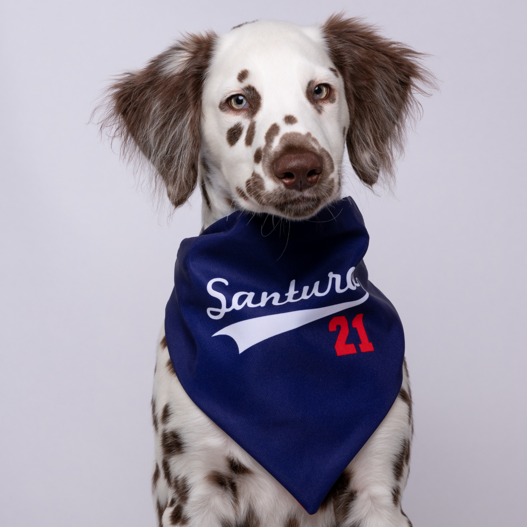PUERTO RICO & SANTURCE FLAG (2-IN-1) - LICKco