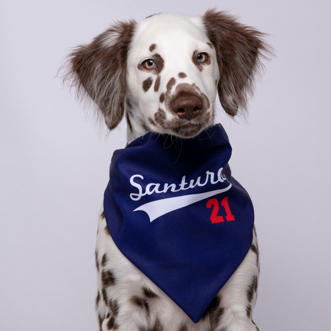 49ers Dog Bandana 