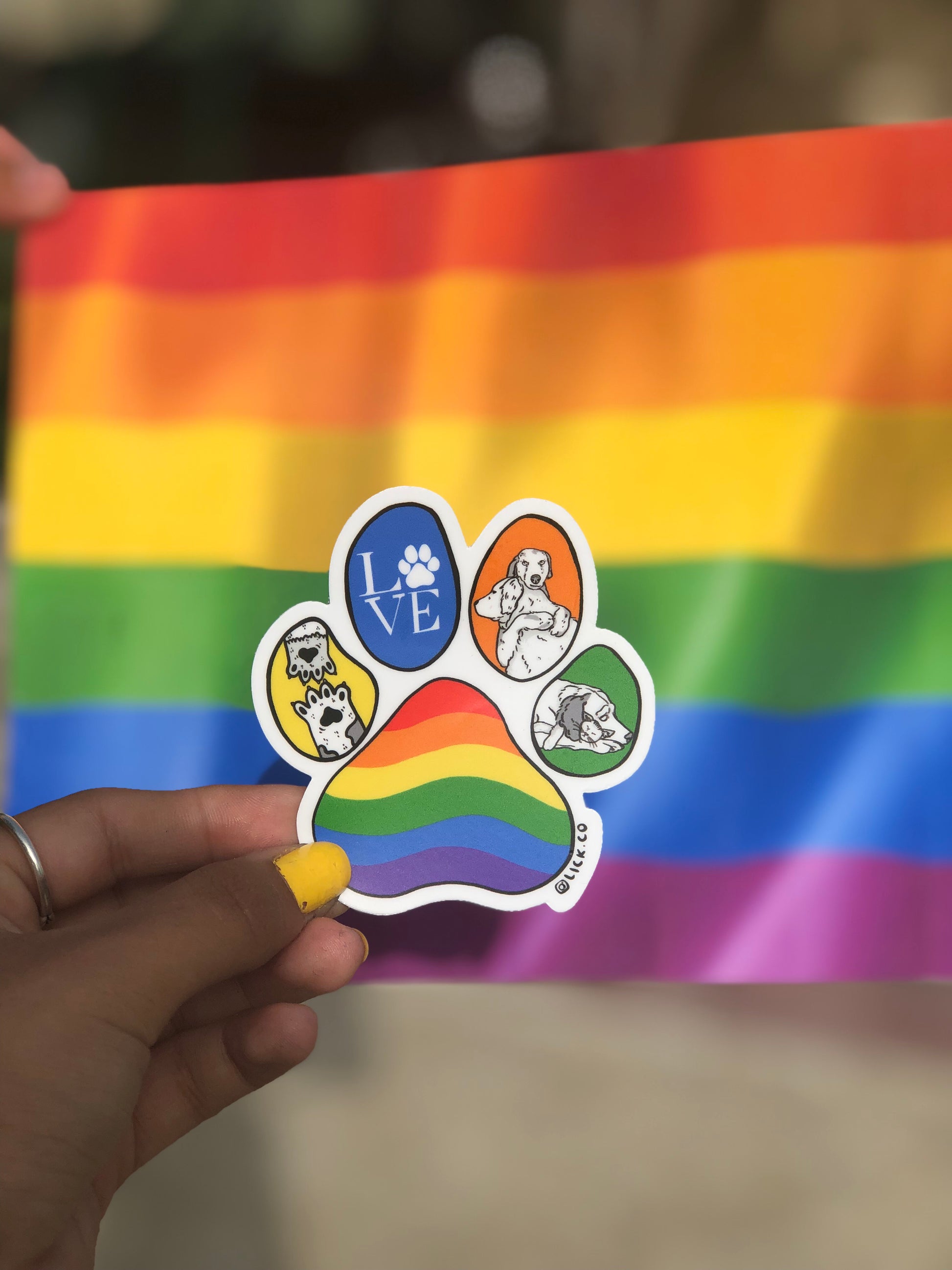 PRIDE PAW - LICKco