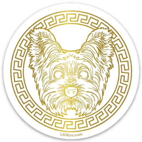 GOLDEN ERA - YORKIE TERRIER - LICKco