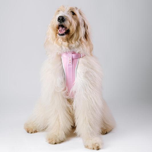 CLASSIC PINK HARNESS