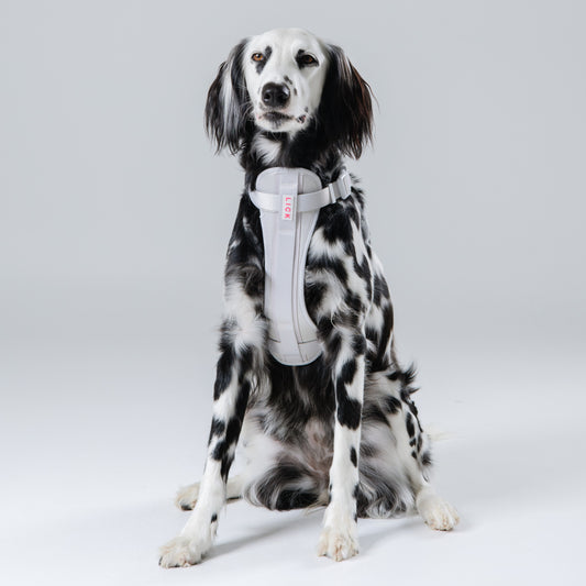 BONE HARNESS