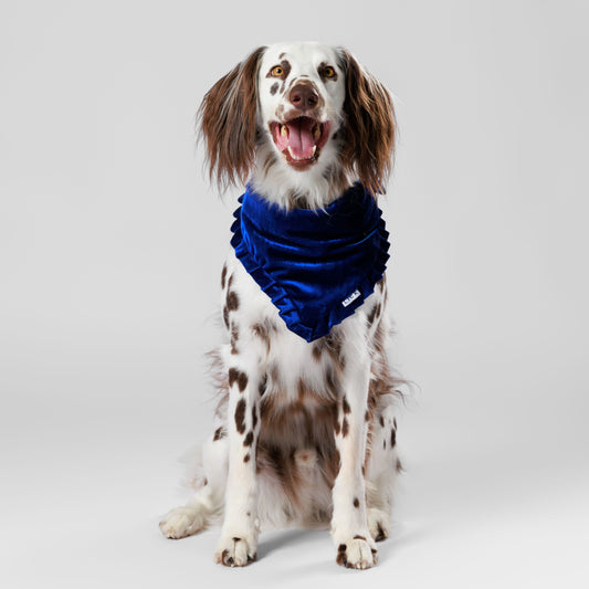 BLUE VELVET - Xmas Exclusive