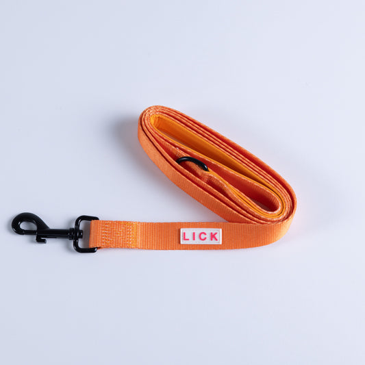 CATALINA LEASH