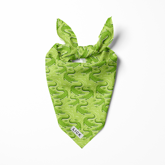CROC-A-DOODLE (GREEN)