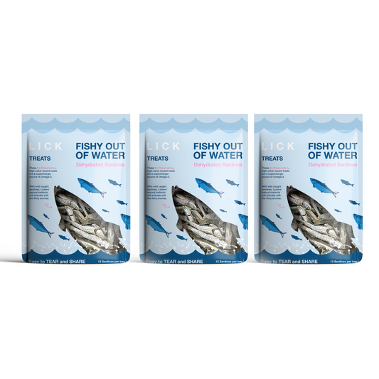 FISHY OUT OF WATER (PACK OF 3)