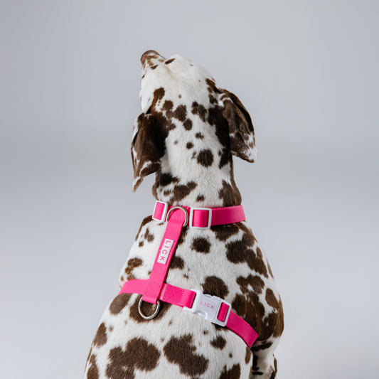 HOT PINK LIFESTYLE HARNESS