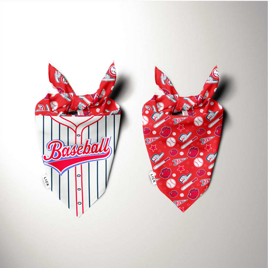 BASEBALL (2-IN-1) - LICKco