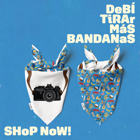 DEBÍ TIRAR MAS BANDANAS (2-IN-1)