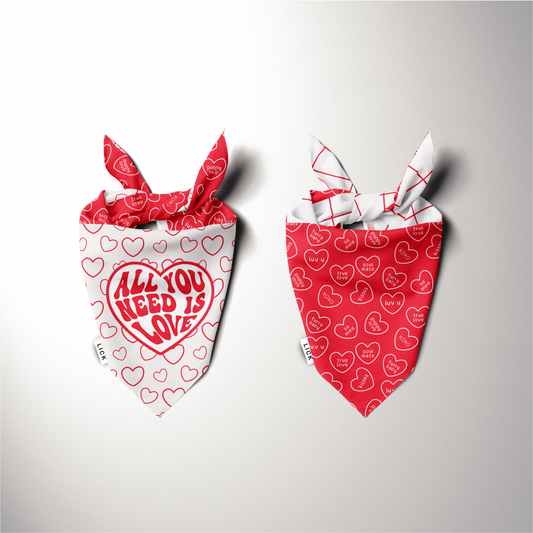 ALL YOU NEED IS LOVE (2-IN-1)