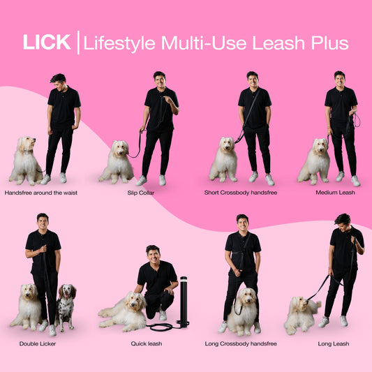 LIFESTYLE MULTI-USE LEASH PLUS