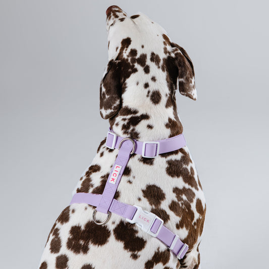 LILAC LIFESTYLE HARNESS