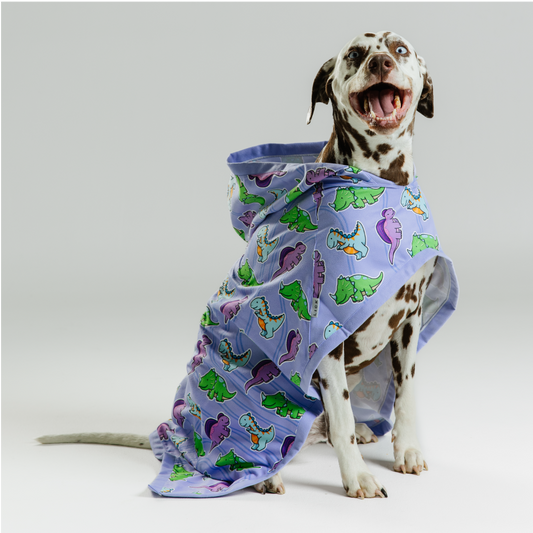 LIFESTYLE SNUGGLE ROBE - LITTLE ROARS