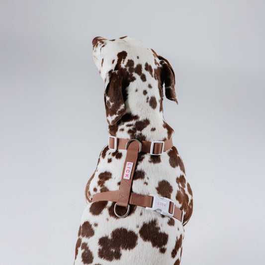 MACCHIATO LIFESTYLE HARNESS