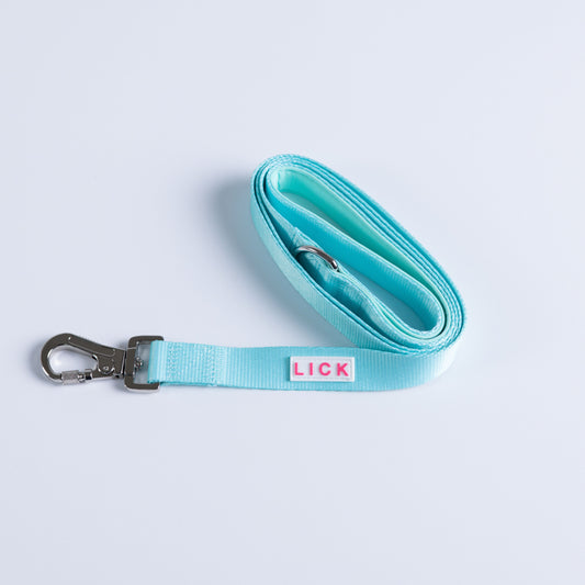 MINT LEASH