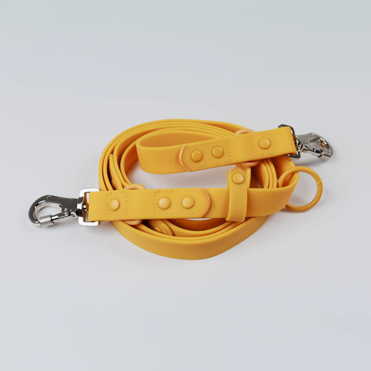 LIFESTYLE MULTI-USE LEASH PLUS - LICKco