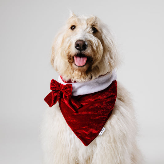 MRS. CLAUS - Xmas Exclusive
