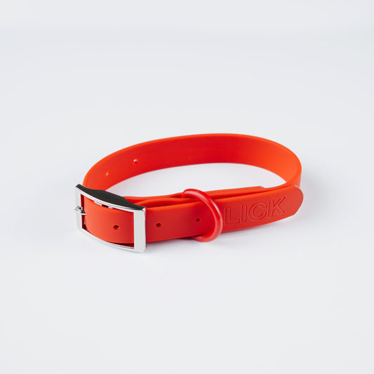 RUDOLPH RED - LIFESTYLE COLLAR