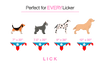 KEN-ERGY (2-IN-1)
