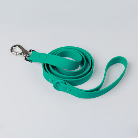TROPICAL TEAL LIFESTYLE LEASH