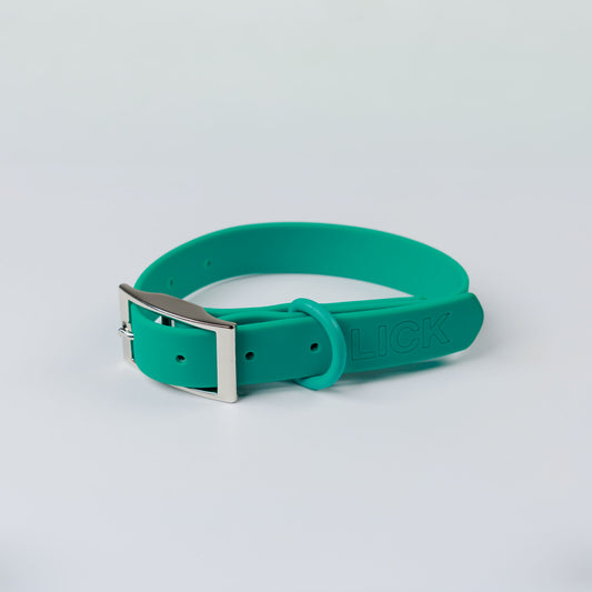 TROPICAL TEAL - LIFESTYLE COLLAR