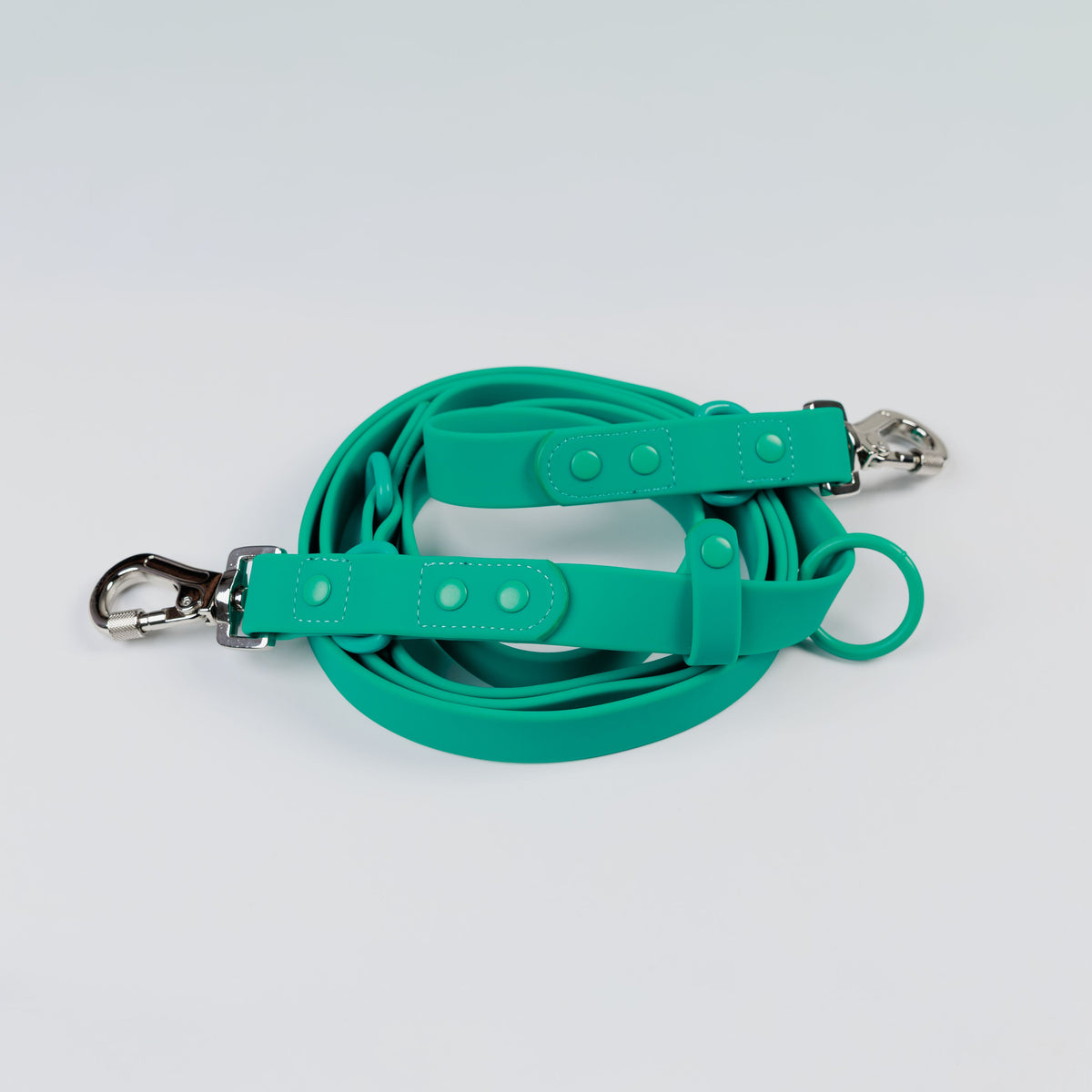 LIFESTYLE MULTI-USE LEASH PLUS - LICKco