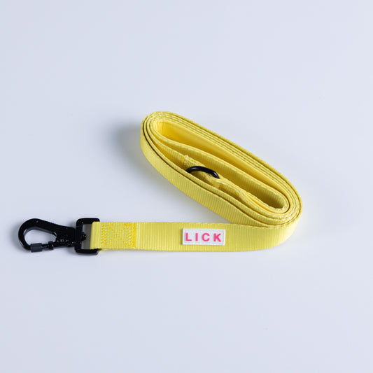 YELLOW GOLD LEASH