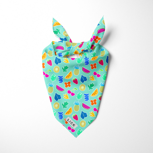 FRUITY FIESTA - LICKco