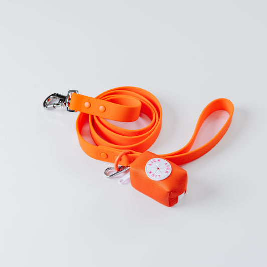 GOLDEN HOUR LIFESTYLE BUNDLE - LICKco