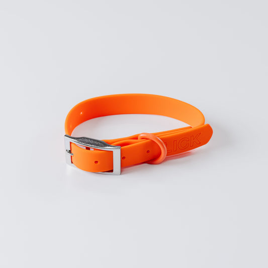 GOLDEN HOUR - LIFESTYLE COLLAR - LICKco