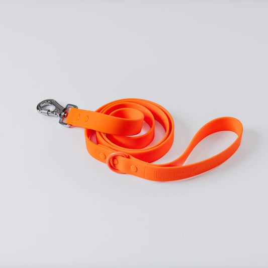 GOLDEN HOUR LIFESTYLE LEASH - LICKco