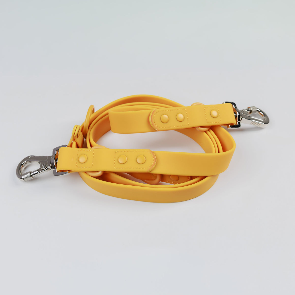 LIFESTYLE MULTI-USE LEASH - LICKco