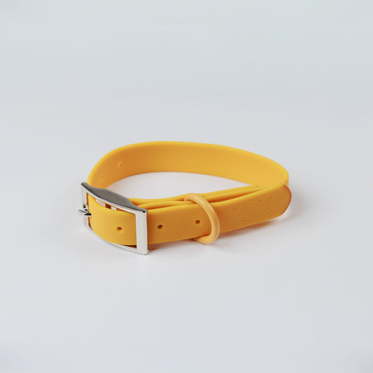 MUSTARD YELLOW - LIFESTYLE COLLAR