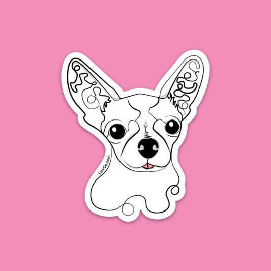 CHIHUAHUA DOODLE