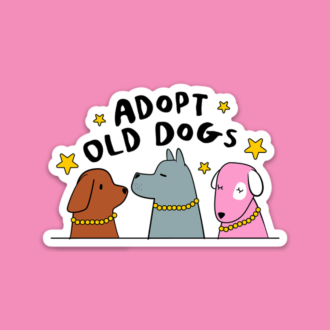 ADOPT OLD DOGS - LICKco