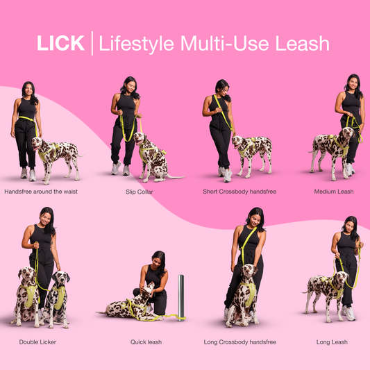 LIFESTYLE MULTI-USE LEASH - LICKco