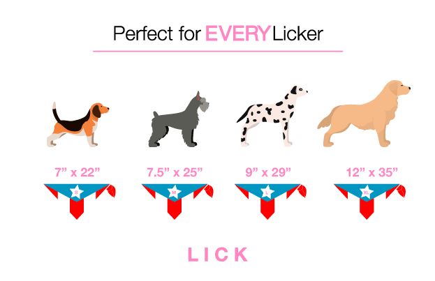 EL PRINCIPITO (2-IN-1) - LICKco